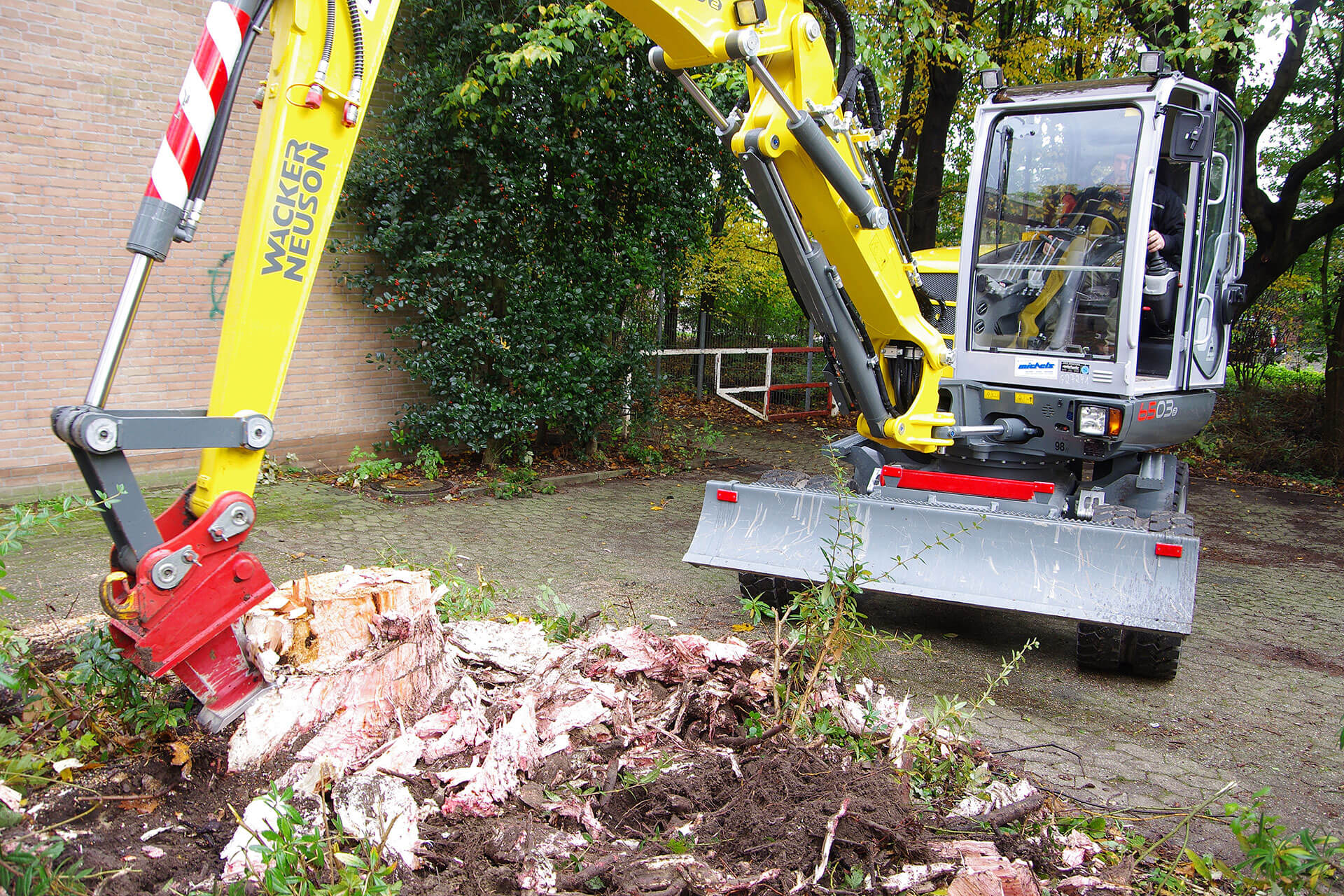 You are currently viewing Martin kommt auf die Wurzelratte