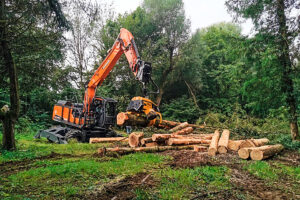 Read more about the article Gut Holz mit dem Doosan Mobilbagger