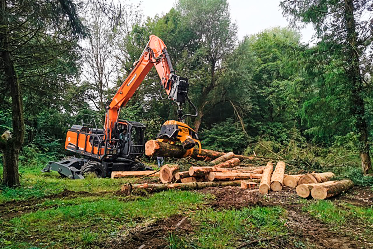 Read more about the article Gut Holz mit dem Doosan Mobilbagger