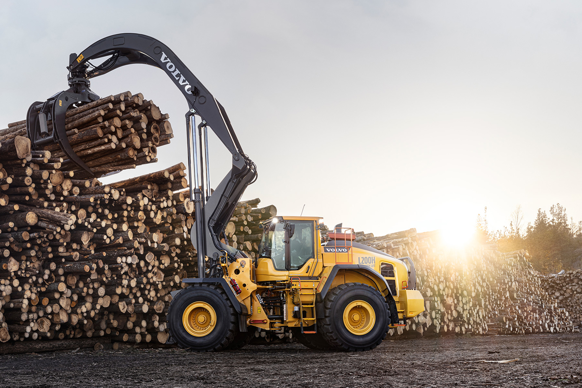 Read more about the article Holz-Lader mit Power