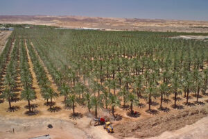Arjes Impaktor im Einsatz in der Negev-Wüste