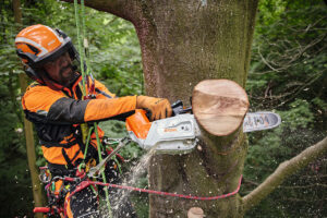 Read more about the article Stihl MSA 220 T – handlich und schnittstark