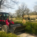 V80 Radlader begeistert im Zoo