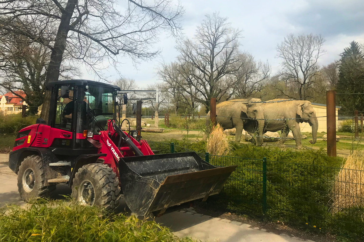 You are currently viewing V80 Radlader begeistert im Zoo