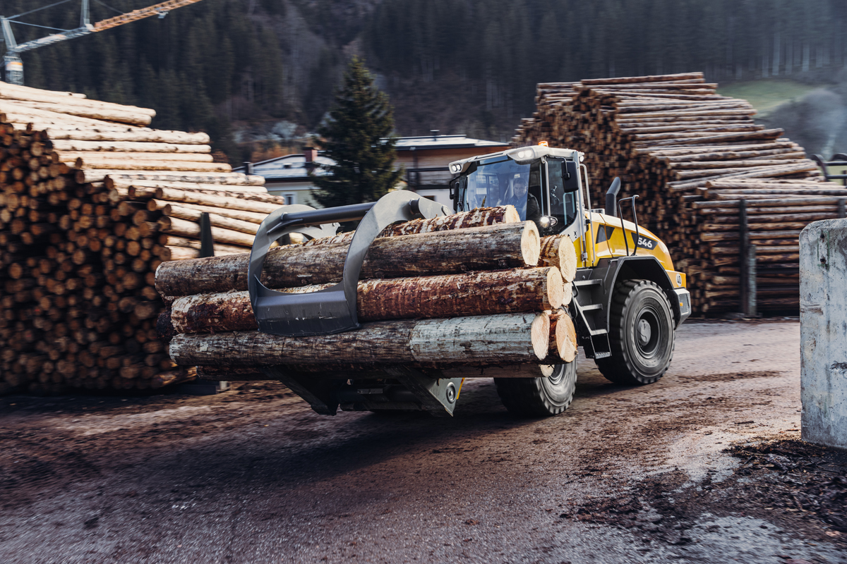 Read more about the article Holz im Fokus – Forstmesse Luzern 2023