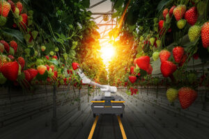 Continental zeigt intelligente Technologien auf der Agritechnica 2023