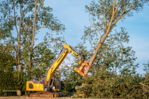 Die Woodcracker C-Serie der Westtech Maschinenbau GmbH