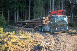 Langholzzug von DOLL TimTech im Einsatz bei Neuhauser Holztransporte