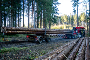 Langholzzug von DOLL TimTech im Einsatz bei Neuhauser Holztransporte