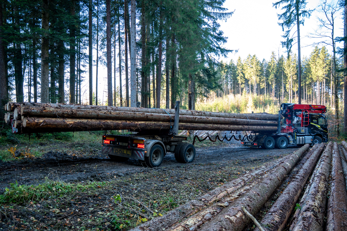 Du betrachtest gerade Langholztransport – effizient und sicher
