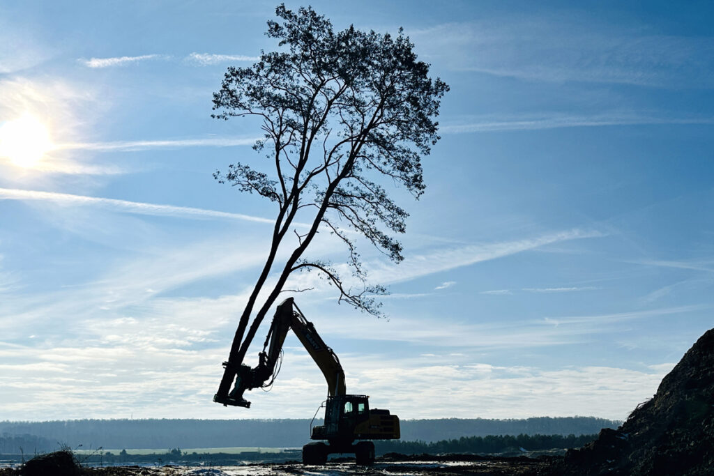 Sany SY215C im Forsteinsatz mit Westtech C550 Fällschere