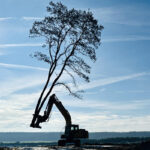 Sany SY215C im Forsteinsatz mit Westtech C550 Fällschere