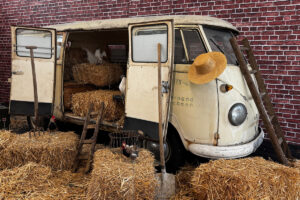 VW Nutzfahrzeuge zeigt beim Maikäfertreffen drei historische Bulli T1 aus dem Jahr 1956.