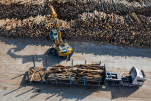 Liebherr L 580 Xpower und LH 50 M Timber Litronic im Einsatz im Holzumschlag bei Fantoni in Italien