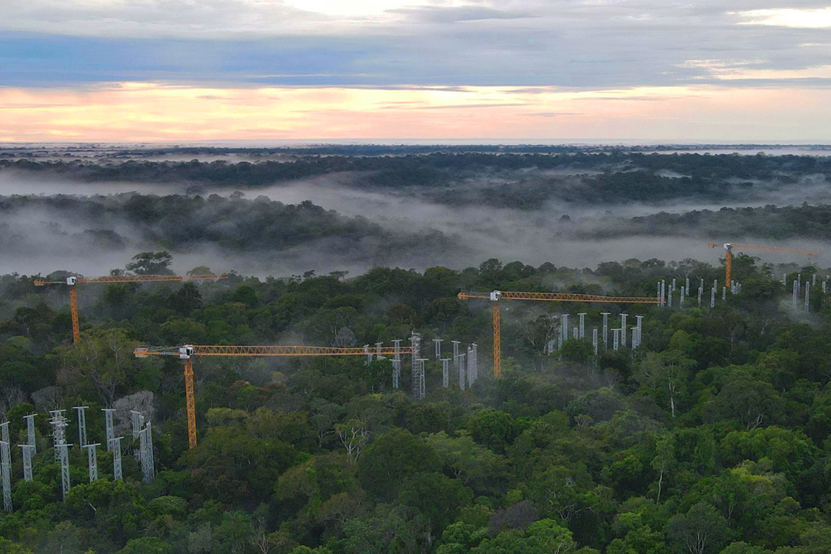 Mehr über den Artikel erfahren 85 EC-B Krane im Amazonas Regenwald