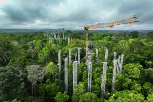 Vier Liebherr Turmdrehkrane 85 EC-B erschließen beim AmazonFACE-Projekt in Brasilien den Regenwald für die Klimaforschung